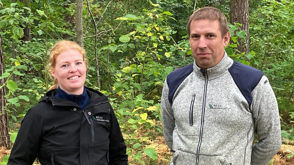 Alice Sandberg och Jonas Bengtsson från Besa skogskonsult som jobbar som skogsförvaltare åt Västerviks kommun. 