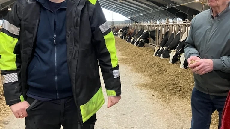 Henrik Ansin guidade bland korna på Gotlandsmjölk.