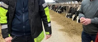 Aktiva Seniorer besöker Gotlandsmjölk