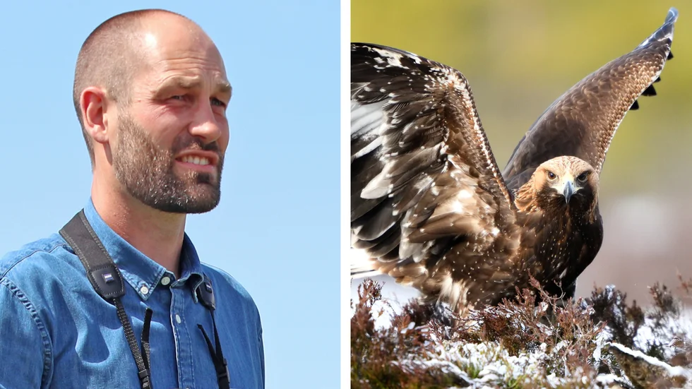 Peter Berry gläds åt att kungsörnen har häckat i Östergötland, för första gången i modern tid.