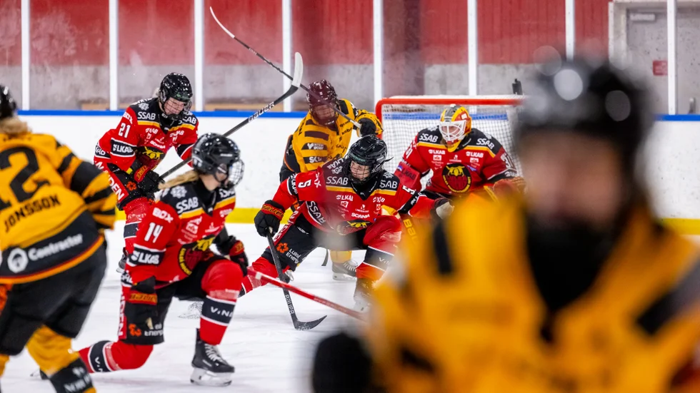 Luleå Hockey/MSSK vann med 3–2 efter förlängning.