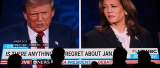 Expert: Trump svalde betet