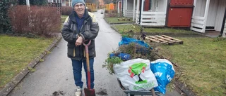 Trädgårdsamatörerna räddar plantor