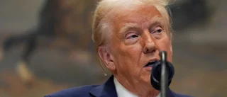 Ericssons vd: Därför skänker vi pengar till Trump