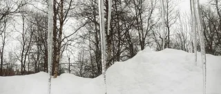Snart är våren här