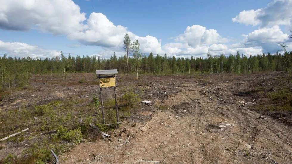Facebookgruppen ”Verklighetens skogsbruk” startades nyligen för att sätta fingret på det som upplevs som skövling av skogen i inlandet.