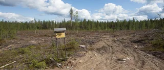 Biotopskyddad skog avverkad?