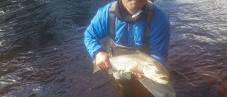 Drömfisken var ingen fisk