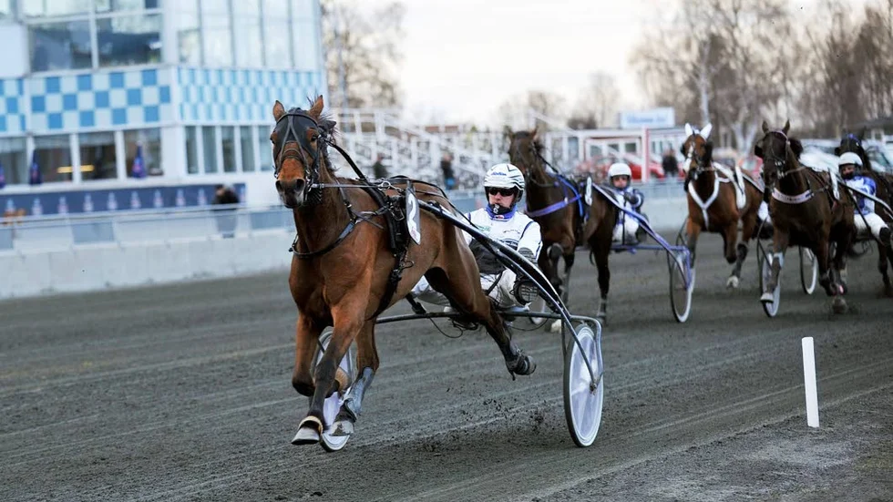 Jorma Särkiniva, här med Abrystir, kör Kentucky på Bodentravet under måndagen