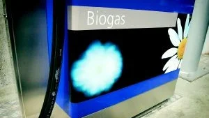 Sydkraft sålde första kvartalet 420 000 kubikmeter biogas vilket är ungenfär lika många liter bensin. Och markanden för biogas växer.
Foto: Scanpix