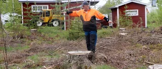 Trädfällningen polisanmäld