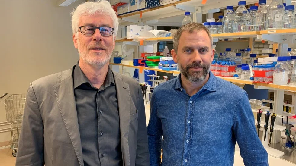 Clas Alm, infektionsläkare och Mattias Forsell som leder forskningsprojektet vid Umeå universitet  ser med spänning fram emot vad det kan leda till.