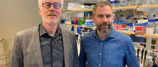 Forskning om sorkfebervirus kan rädda liv