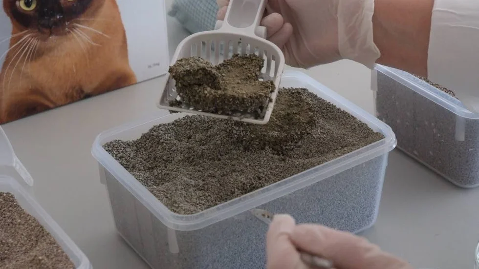 Hur lätt är det att ta bort kisset? Laboratoriet testade hur bra de olika märkena är på att bilda klumpar för att samla upp vätskan.