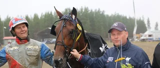 Mellby Dealer jagar första V75-segern