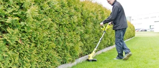 Klen klippkraft med batteridriven trimmer