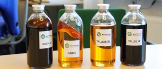 Solsken över Sunpine