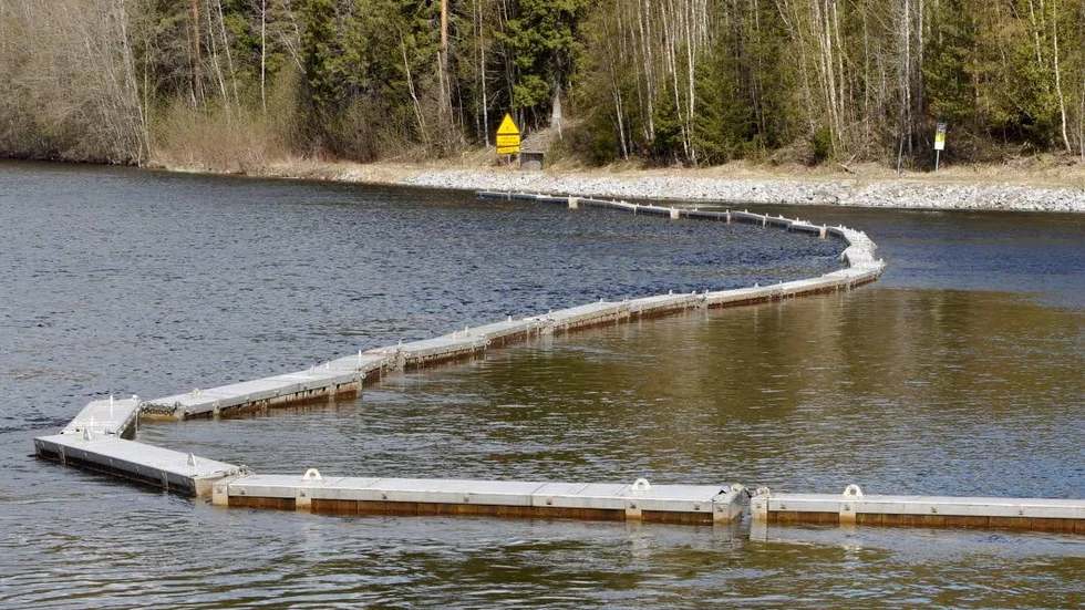 Avledare. På tisdagen satte Piteå Energi ner smoltavledaren vid Sikfors kraftverk. Den ska rädda lax- och öringsmolt från turbinerna.