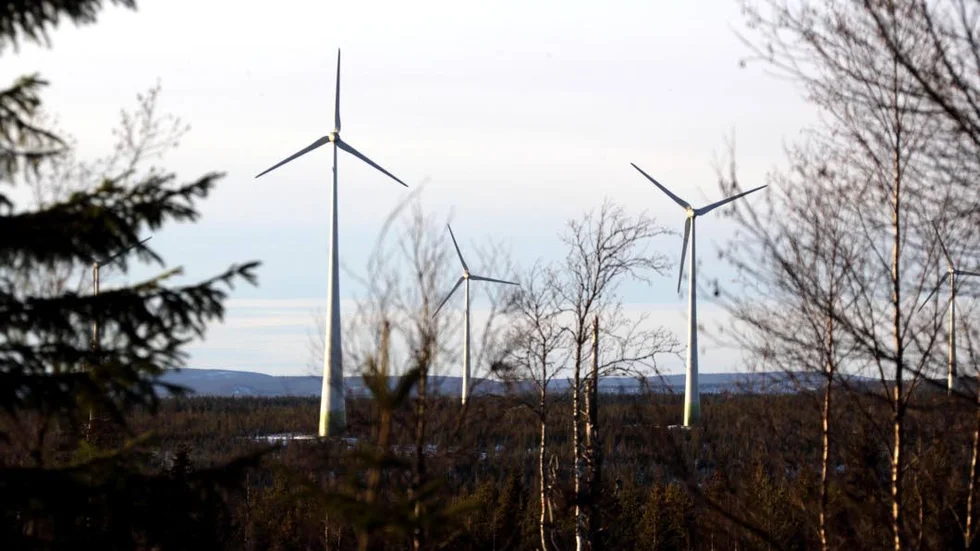 Piteå ligger högt upp på Svensk vindenergis vindkraftslista. (Arkivbild)
