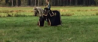 4H bjöd på familjedag