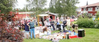 Årets Rosviksbor utsedda