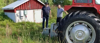 Liten duva kortslöt elnätet i flera byar