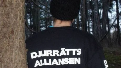 27-åriga Anna har deltagit i Djurrättsalliansens kartläggning av grisar på 100 gårdar i Sverige.