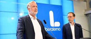 L vill chocksänka elskatten