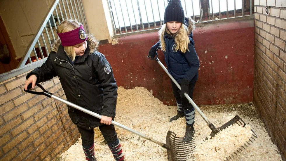 Sportlovslediga Amanda Öhlund, till vänster, och Elsa Filipsson strör ut en bädd av sågspån till hästen i en av spiltorna hos Söderköpings Ryttarsällskap.
