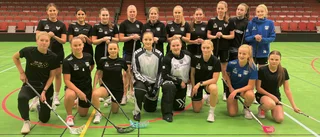 Öjebyn laddar om för premiärderby i ettan: "Vi får minst lika bra lag i år"