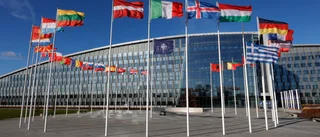 Natoansökan utan konsekvenstänkande