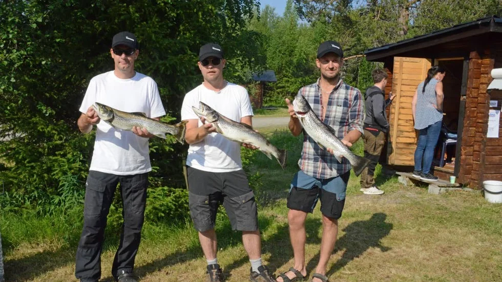 Det nappade bra för Hans Renberg, Tobias Möller och Christoffer Widman. Redan klockan fyra på torsdagsmorgonen gav de sig ut på Aisjaur och första nappet kom ganska omgående. Här är de med de tre största öringarna, som gav dem ledningen i öring cupen.
