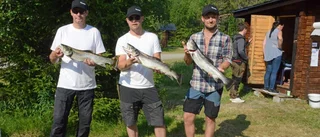 Morgontidiga fiskare i Racksunds fiskefestival