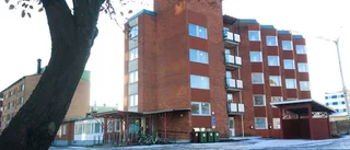 Rivstart i februari