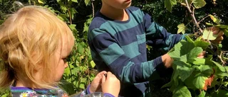 Tvåbarnsmamman: Vardagsstressen