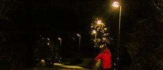 Nu blir det ny trygghetsvandring i Vadstena: "Men då ska det vara mörkt ute"