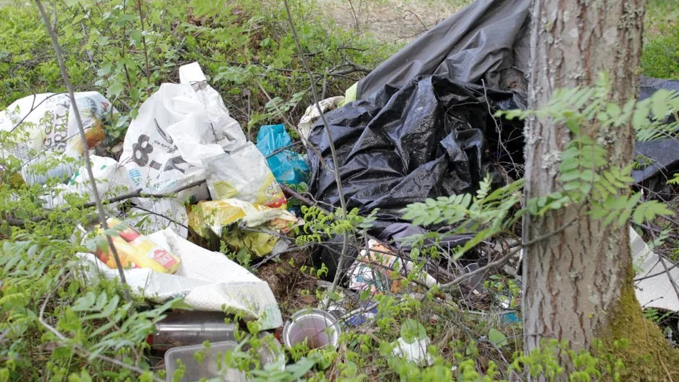Prishöjning. Många svenskar är positiva till att priset på plastpåsar höjs. (Arkivbild)