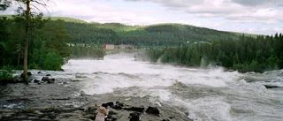 Uppskattad utflykt till Storforsen