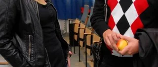 Internationellt projekt på Nyströmska skolan