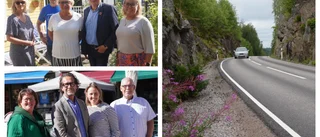 Regionen för nybörjare • Del 4: Varför byggs inte väg 35 om?