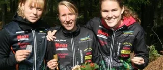 Favoriterna höll i lång-DM