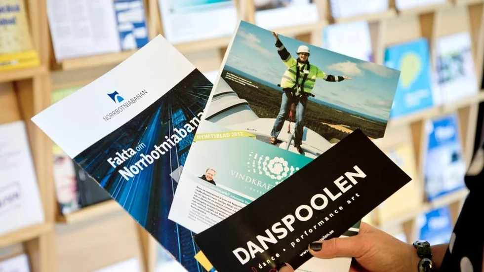 Norrbotniabanan, Vindkraftcentrum och Danspool i Nord är exempel på projekt där Piteå kommun är projektägare, men där flera aktörer samt EU är medfinansiärer.