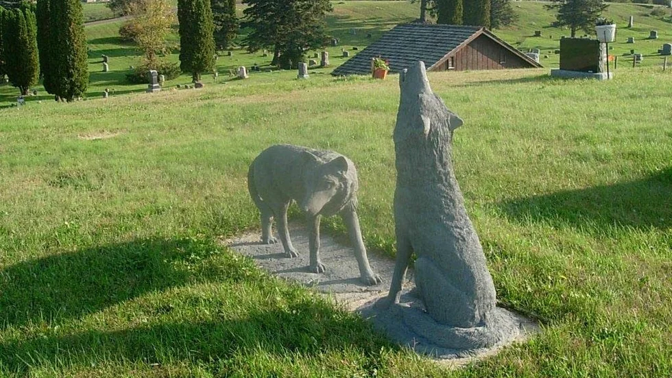 För de flesta indianer är vargen en mäktig andlig symbol,som de anser vara en lärare och stigfinnare. Här ett gravmonument över en indianhövding i Wisconsin, USA. För samerna är vargen  en fiende även om relationen inte är utan respekt.