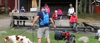 Fridlysta orkidéer trivs på Karlberg