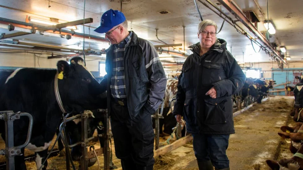Avvecklat. I februari avvecklades mjölkproduktionen men kor kommer ändå finnas kvar ett par år till i köttproduktion.