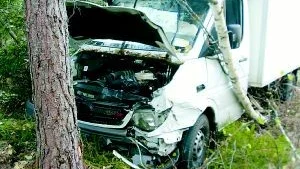Intryckt front. Lastbilen åkte ett par hundra meter, nedför ett dike, innan den stannade mot ett träd. 		FOTO: TITTI OLOVSSON