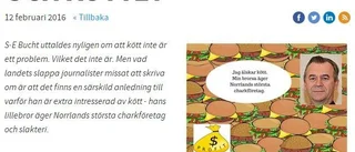 Bucht anklagas för jäv