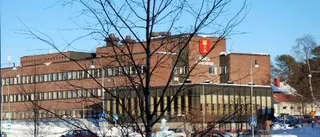 Samarbete - modellen i östra Norrbotten?
