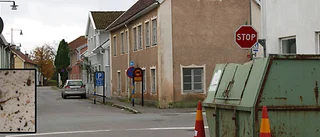 Kackerlackor invaderar kulturhusen