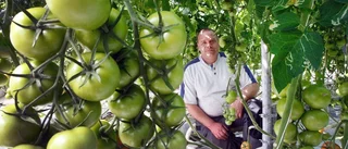 Här finns landets enda klimattomater